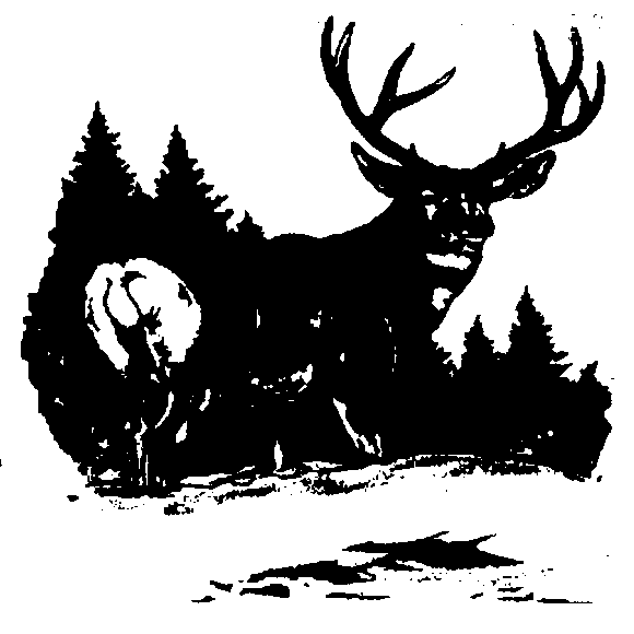 Vision Quest Guided Hunts